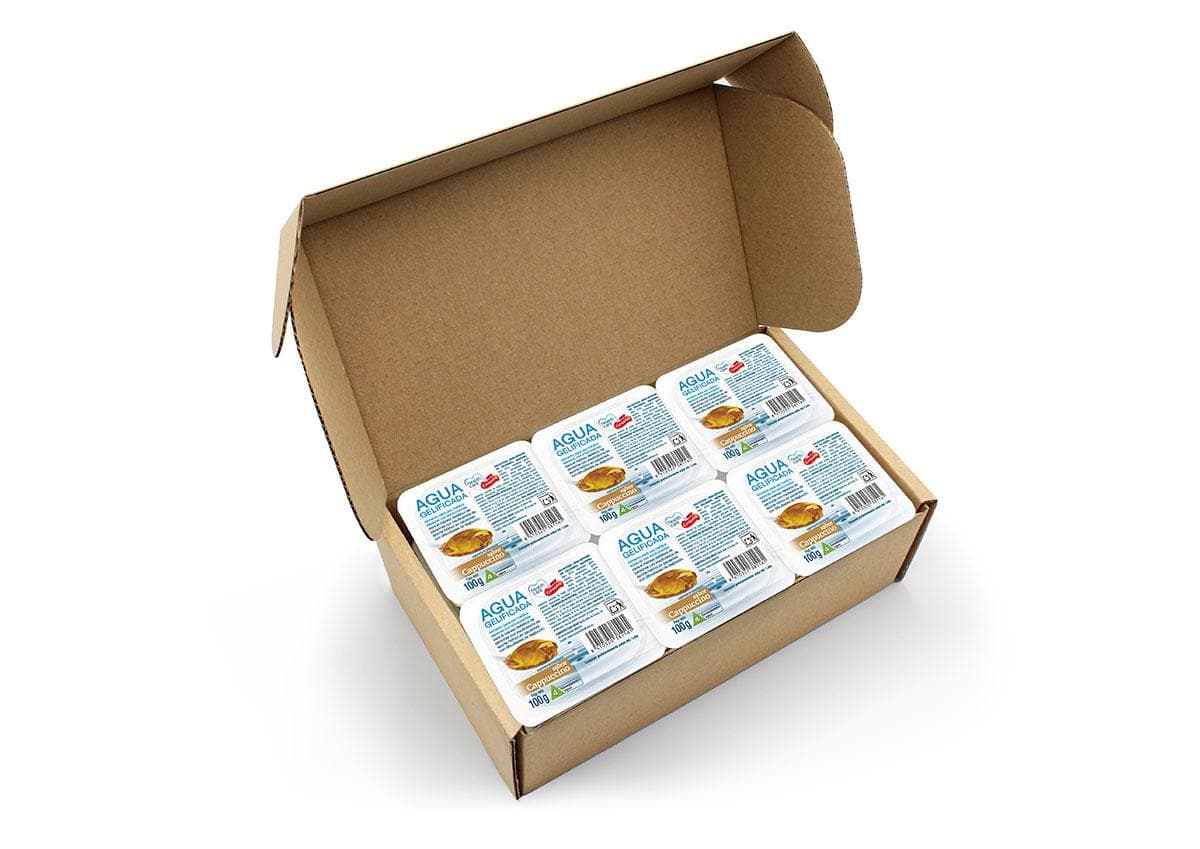 Agua gelificada capuccino 12uds caja